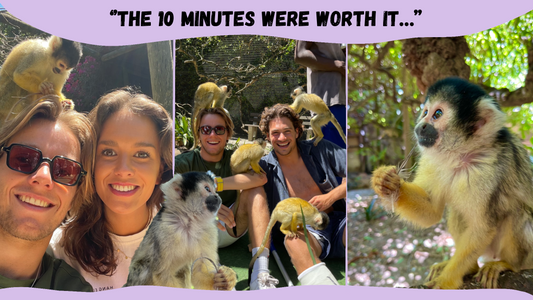 Visiting World of Birds in Cape Town, Monkey jungle