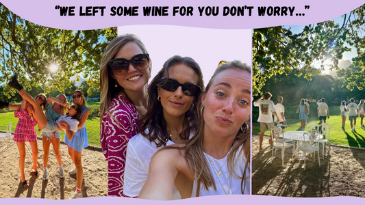 Wine tasting at Boschendal